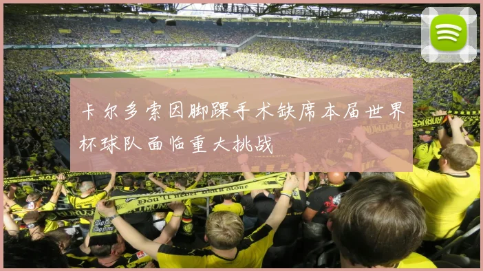 卡尔多索因脚踝手术缺席本届世界杯球队面临重大挑战