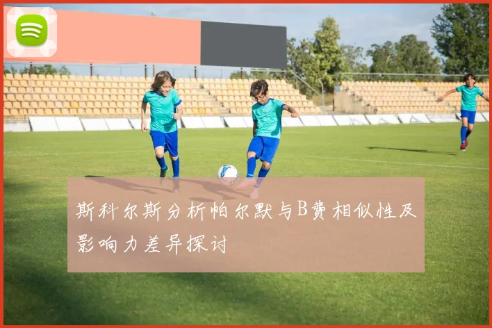 斯科尔斯分析帕尔默与B费相似性及影响力差异探讨