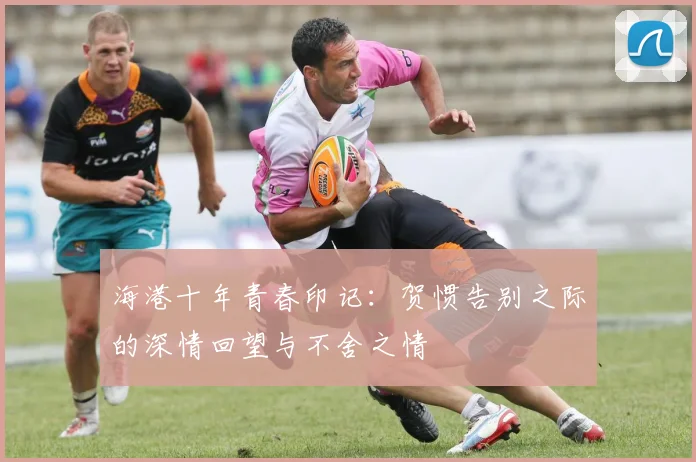 海港十年青春印记：贺惯告别之际的深情回望与不舍之情